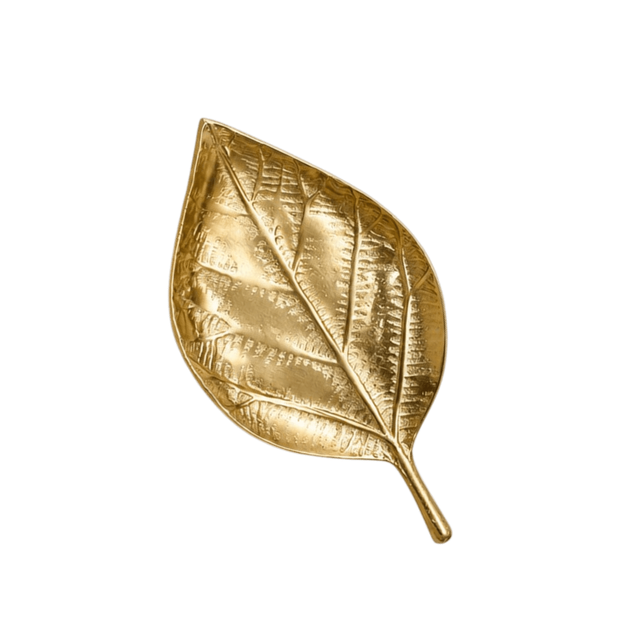 Présentoirs & Plateaux